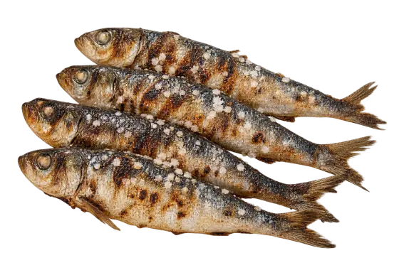 Sardinas asadas