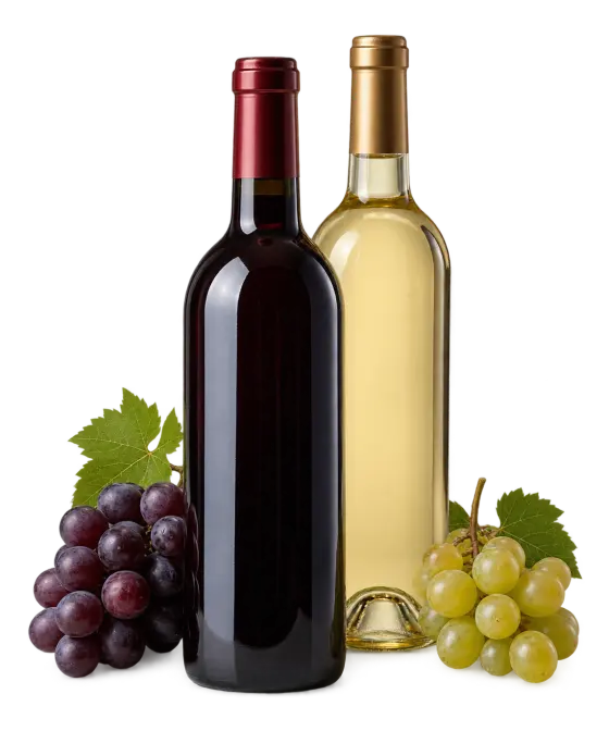 Vino de Valdepeñas