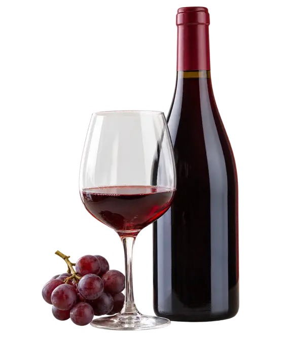 Vino del Bierzo