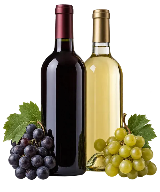 Vino Tierra de Barros